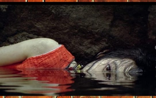 The Visually Stunning Breathtakingly Violent Movies of Park Chan-Wook