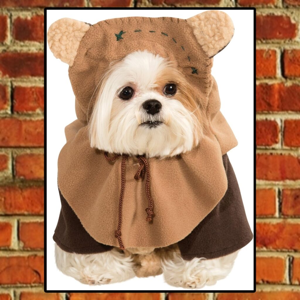 Star Wars Collection Pet Costume, Small, Ewok